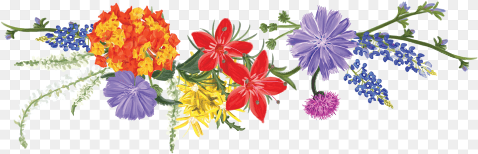 Texas Wildflower Vodka Wildflowers Clipart Art, Flower, Flower Arrangement, Flower Bouquet Free Png