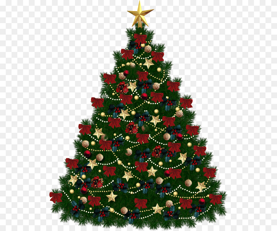 Textura Brad De Craciun, Plant, Christmas, Christmas Decorations, Festival Free Png Download