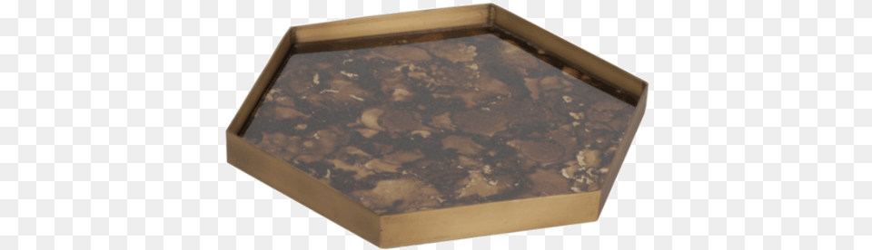 Tgn Tortoise Organic Mini Glass Tray Metal Rim Ceiling Free Png Download