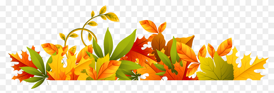 Th Autumn Clip Art, Graphics, Leaf, Plant, Tree Png Image