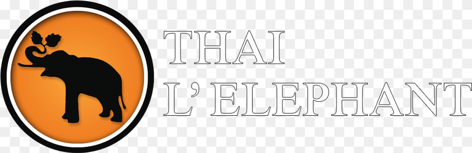 Thai L39 Elephant Logo Thai Tea, Photography, Animal, Bear, Mammal Free Transparent Png