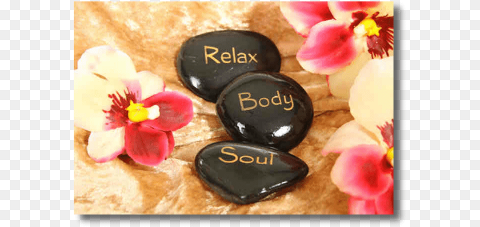 Thai Massage Body Massage Stone, Petal, Flower, Plant, Anther Png