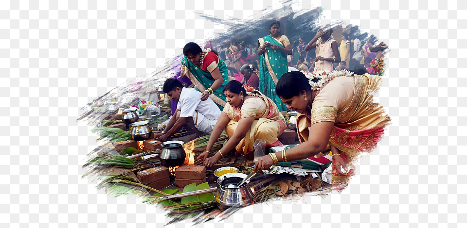 Thai Pongal A Festival Of Gratitude To Surya Thai Pongal, Adult, Person, Female, Woman Free Transparent Png