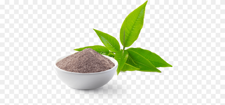 Thai Tea Green Tea, Leaf, Plant, Powder, Herbal Free Png Download