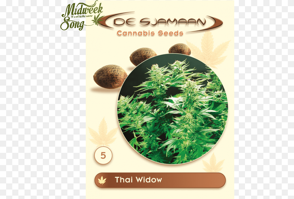 Thai Widow Strain, Herbal, Herbs, Plant, Plate Free Png