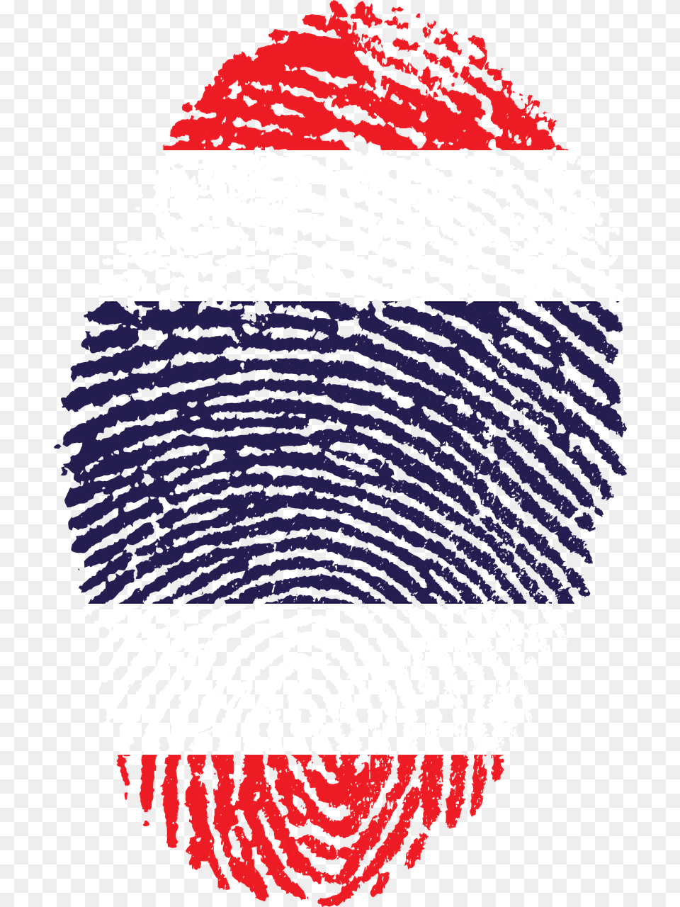 Thailand Flag Fingerprint, Home Decor, Rug, Baby, Person Free Png Download