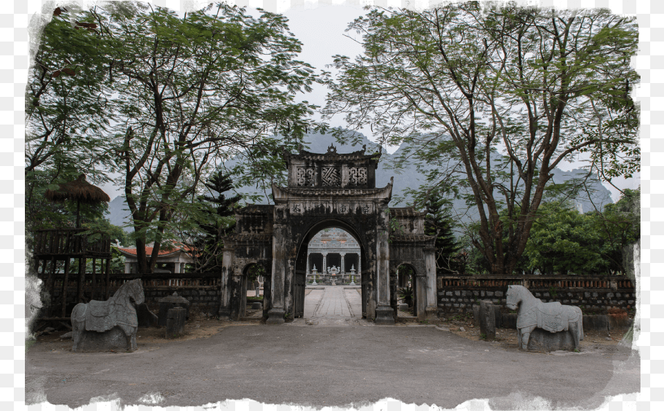 Thaivitemple Tree, Arbour, Garden, Outdoors, Nature Free Png Download
