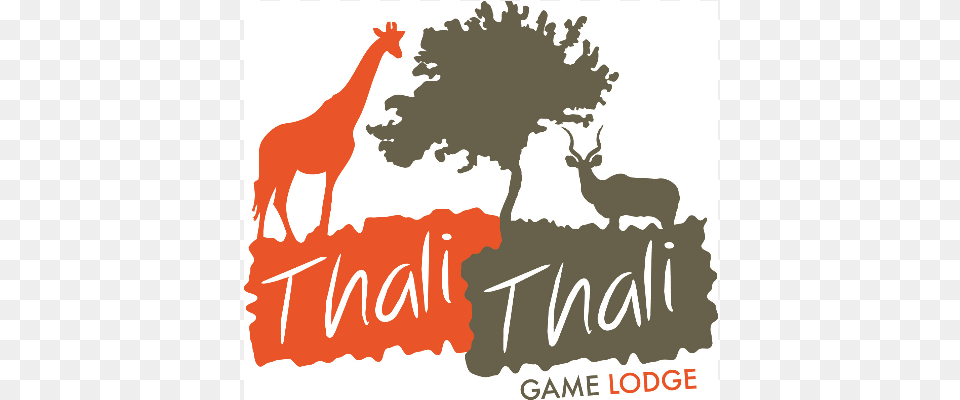 Thali Thali Game Lodge Thali Thali Resort Logo, Animal, Antelope, Deer, Impala Free Transparent Png