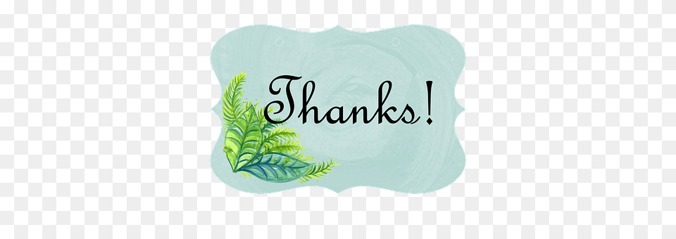 Thank You Leaf, Plant, Logo, Green Png Image