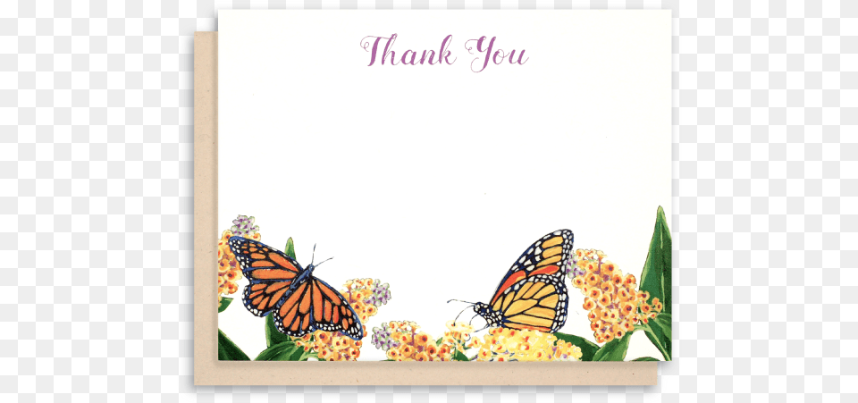 Thank You Card Background, Animal, Butterfly, Insect, Invertebrate Free Transparent Png