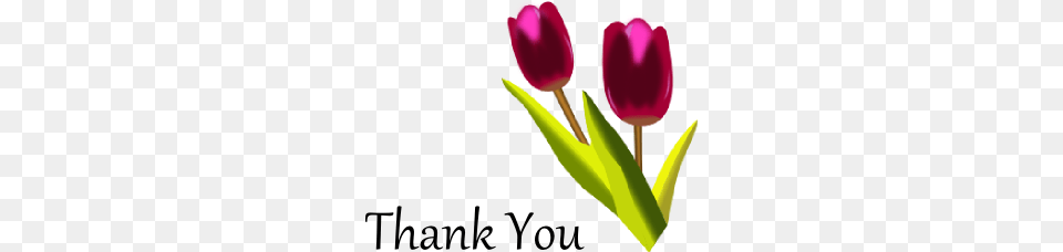 Thank You Clip Art, Flower, Plant, Tulip, Smoke Pipe Free Png