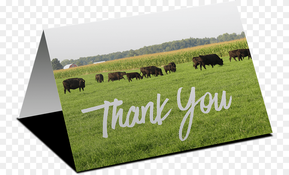 Thank You Dairy, Rural, Ranch, Pasture, Outdoors Png