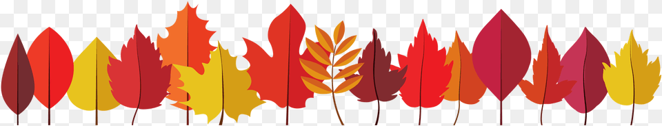 Thank You For Always Supporting Blue Mountain Students Illustration, Leaf, Plant, Art Free Png