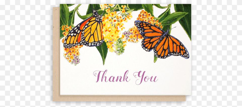 Thank You For The Butterflies, Animal, Butterfly, Insect, Invertebrate Free Transparent Png
