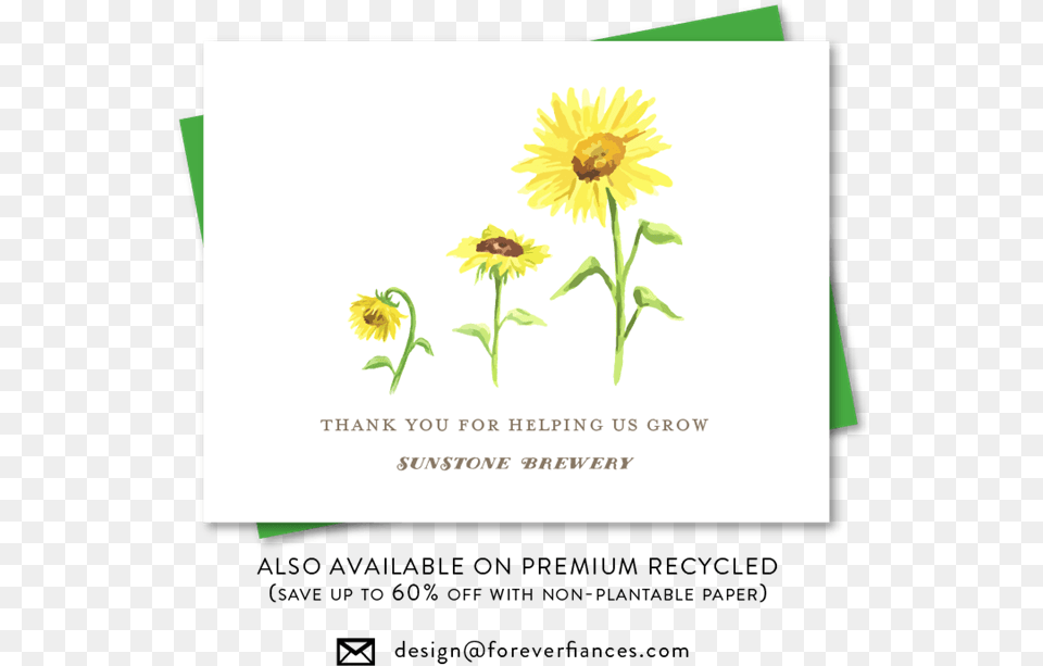 Thank You For The Growth, Envelope, Flower, Greeting Card, Mail Png