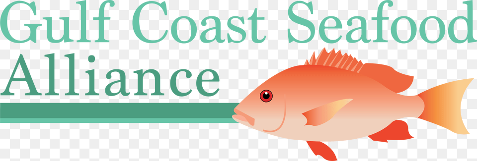 Thank You For Your Interest In The Gulf Coast Seafood University Of West Florida, Animal, Sea Life, Fish, Shark Free Png