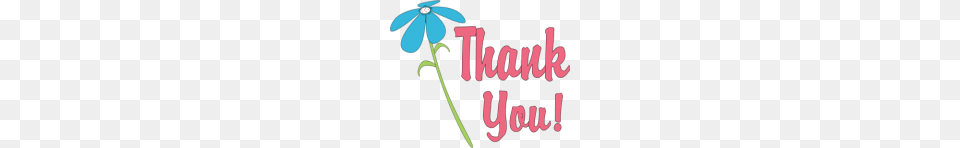 Thank You Images, Envelope, Greeting Card, Mail, Flower Free Transparent Png