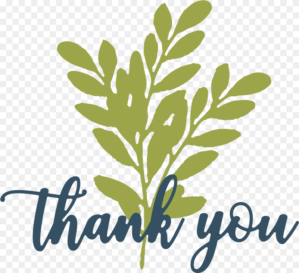 Thank You Leaves Svg Cut File Thank You Leaves Leaf Thank You Tree, Herbal, Herbs, Plant, Vegetation Png Image