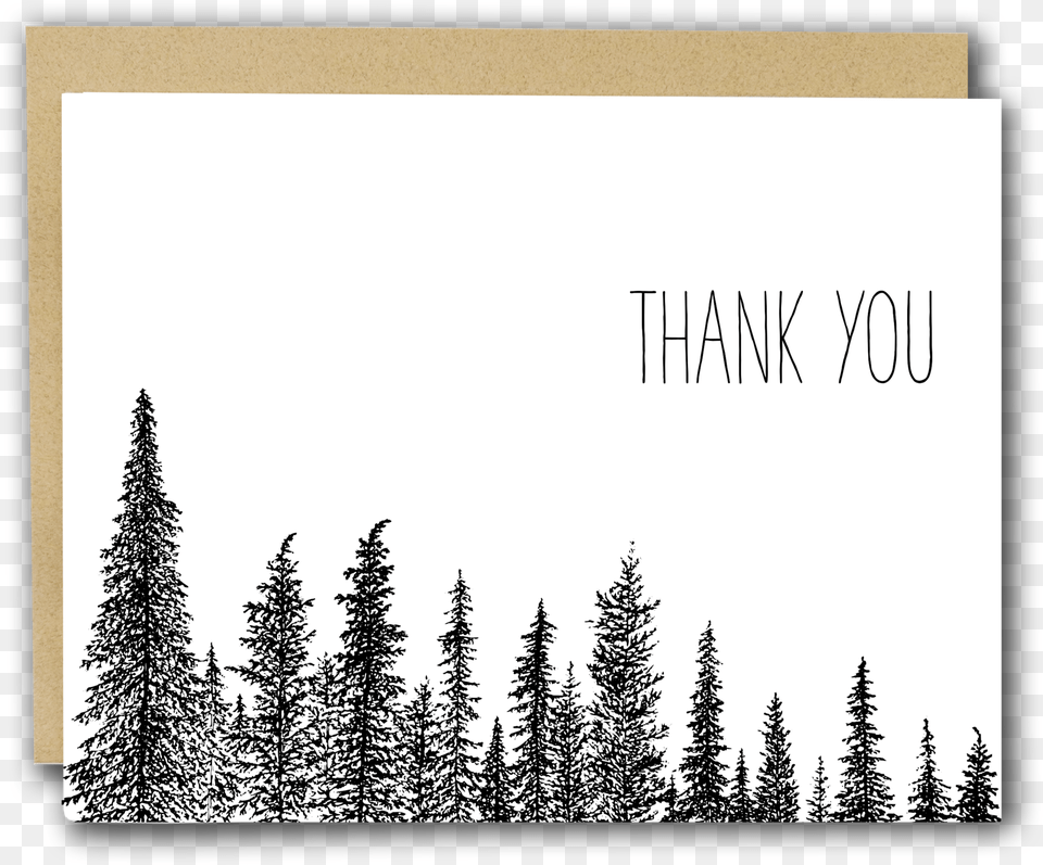 Thank You Trees Letterpress Card U2013 Drawn To Ecology Thank You Card Trees, Fir, Pine, Plant, Tree Free Transparent Png
