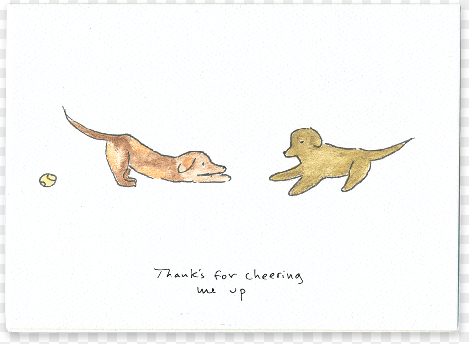 Thanks For Cheering Me Up Otter, Animal, Pet, Mammal, Dog Png
