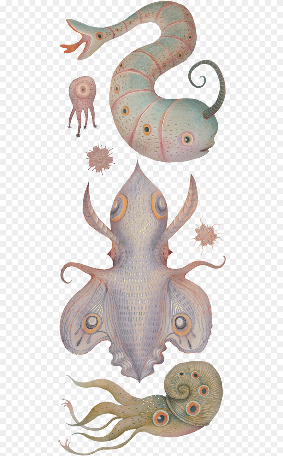 Thanks For Viewing, Animal, Sea Life, Fungus, Plant Png