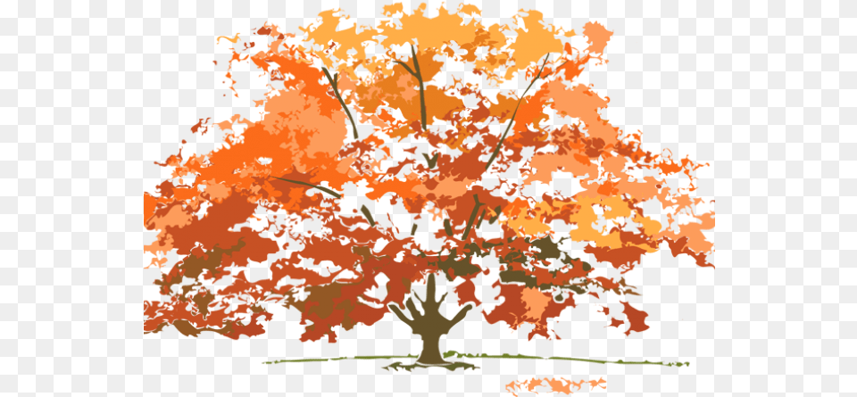 Thanksgiving 2019 Images Leaf, Maple, Plant, Tree Free Png Download