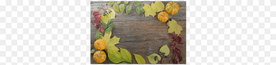 Thanksgiving, Leaf, Plant, Food, Fruit Png