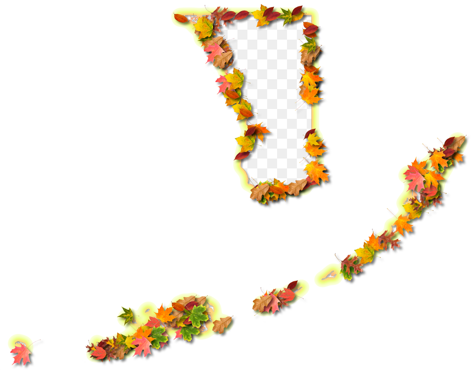Thanksgiving Border, Flower, Flower Arrangement, Leaf, Plant Png Image