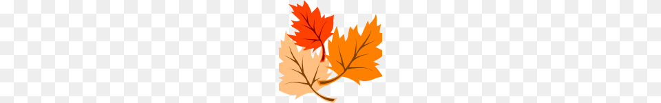 Thanksgiving Clip Art Potluck Thanksgiving Blessings, Leaf, Plant, Tree, Maple Leaf Png Image