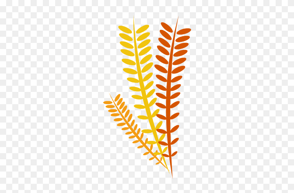 Thanksgiving Clipart, Fern, Leaf, Plant, Festival Free Png Download