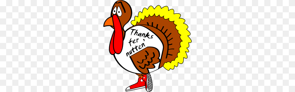 Thanksgiving Clipart Turkey, Animal, Beak, Bird, Baby Free Png