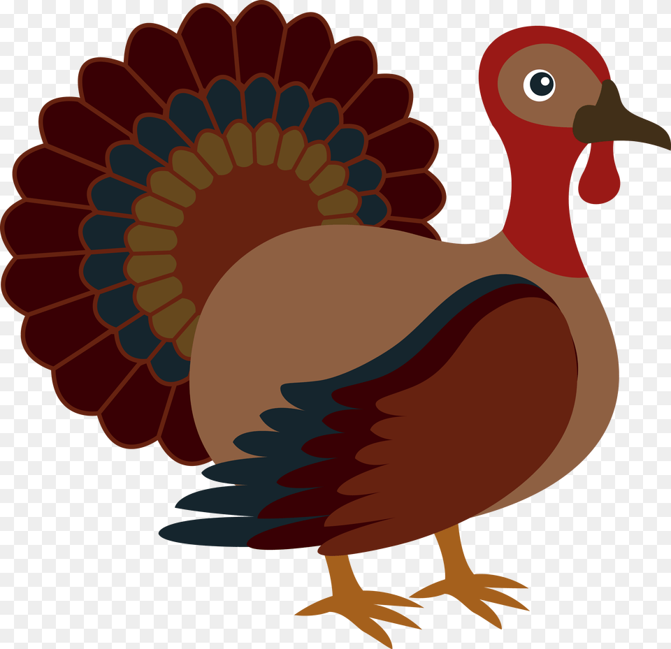 Thanksgiving Clipart Turkey Thanksgiving Vector, Dynamite, Weapon, Animal, Bird Free Png Download