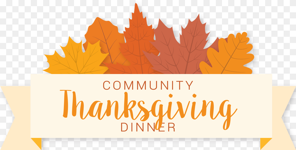 Thanksgiving Community Dinner 2019 United Way Of Metro Chicago Autumn, Leaf, Plant, Tree, Maple Png Image