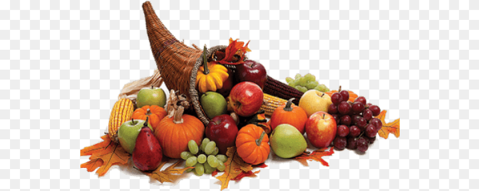 Thanksgiving Day Cornucopia Clip Art Stock Photography Background Thanksgiving Cornucopia, Food, Fruit, Plant, Produce Free Png Download