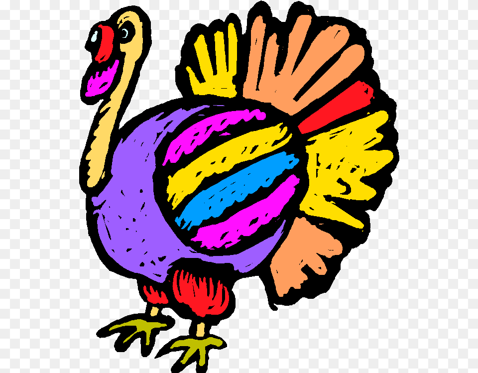 Thanksgiving Food Drive Events In Greater Shelton Ct Five Smart Turkeys Are We Lyrics, Baby, Person, Animal, Bird Png