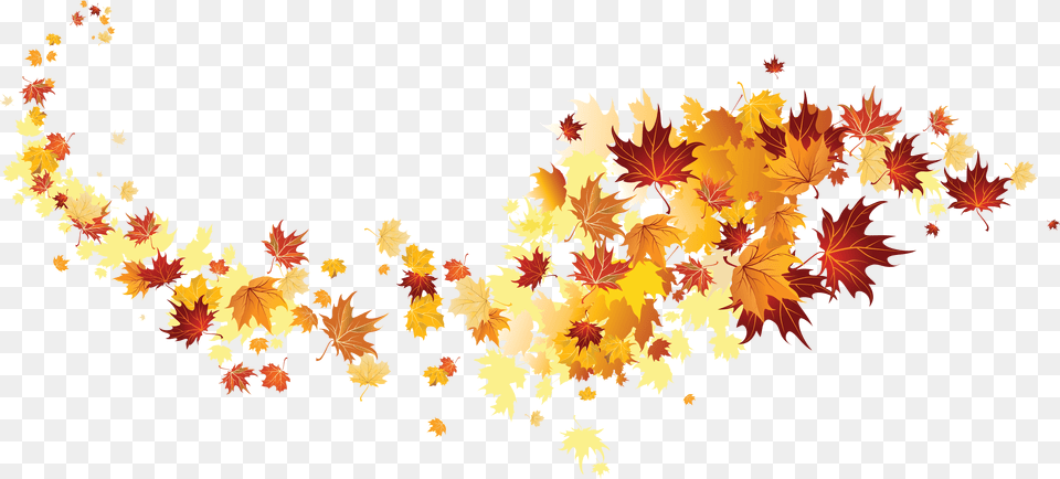 Thanksgiving Leaves, Leaf, Plant, Tree, Maple Free Png