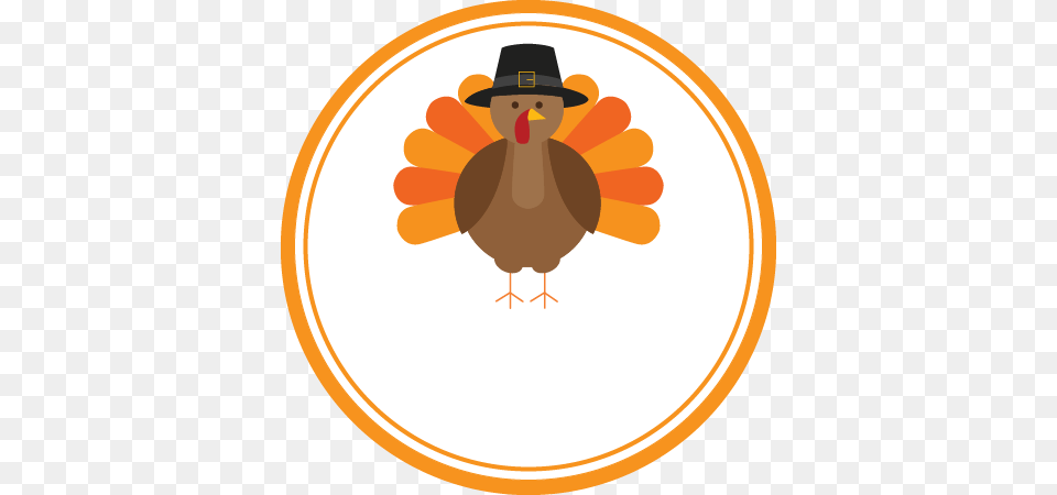 Thanksgiving Napkin Knot, Clothing, Hat, Animal, Bird Png