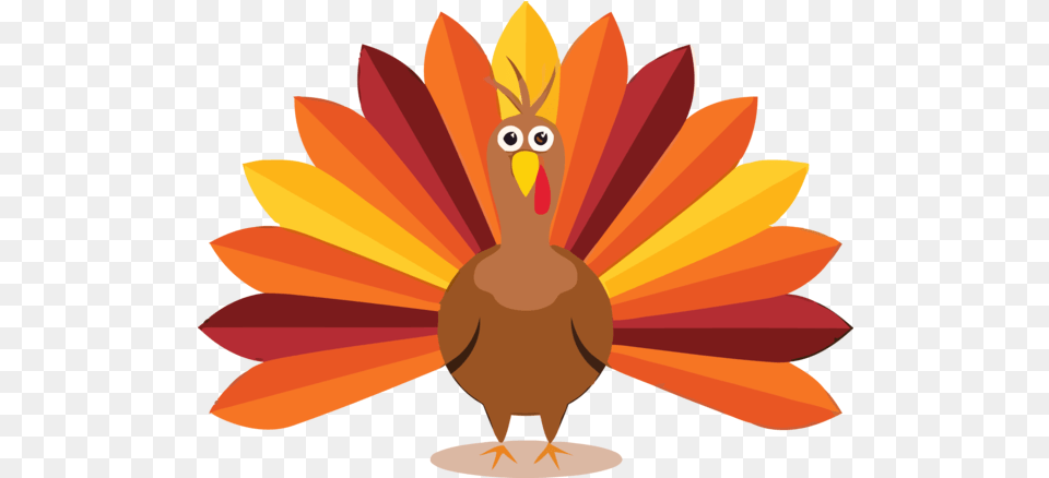 Thanksgiving Orange Plant For Thanksgiving Pictures For Kids, Animal, Bird, Rocket, Weapon Free Png