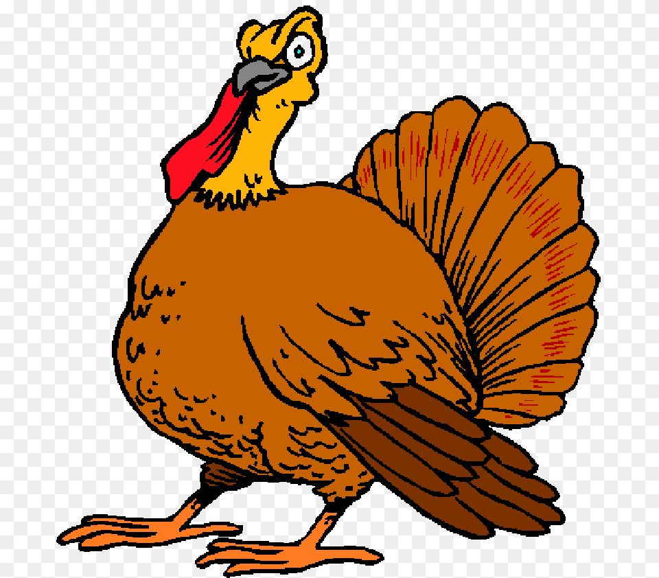 Thanksgiving Photos, Animal, Bird, Baby, Person Png