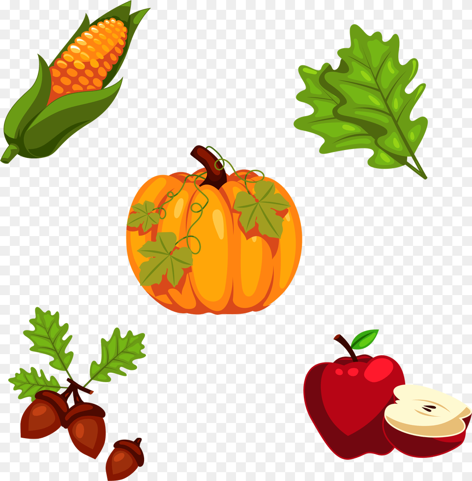 Thanksgiving Pumpkin Cartoon Pumpkin With Leaves, Leaf, Plant, Food, Produce Free Transparent Png
