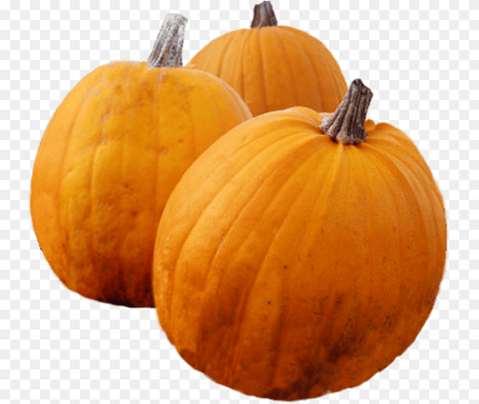 Thanksgiving Pumpkin Pumpkin, Food, Plant, Produce, Vegetable Png Image