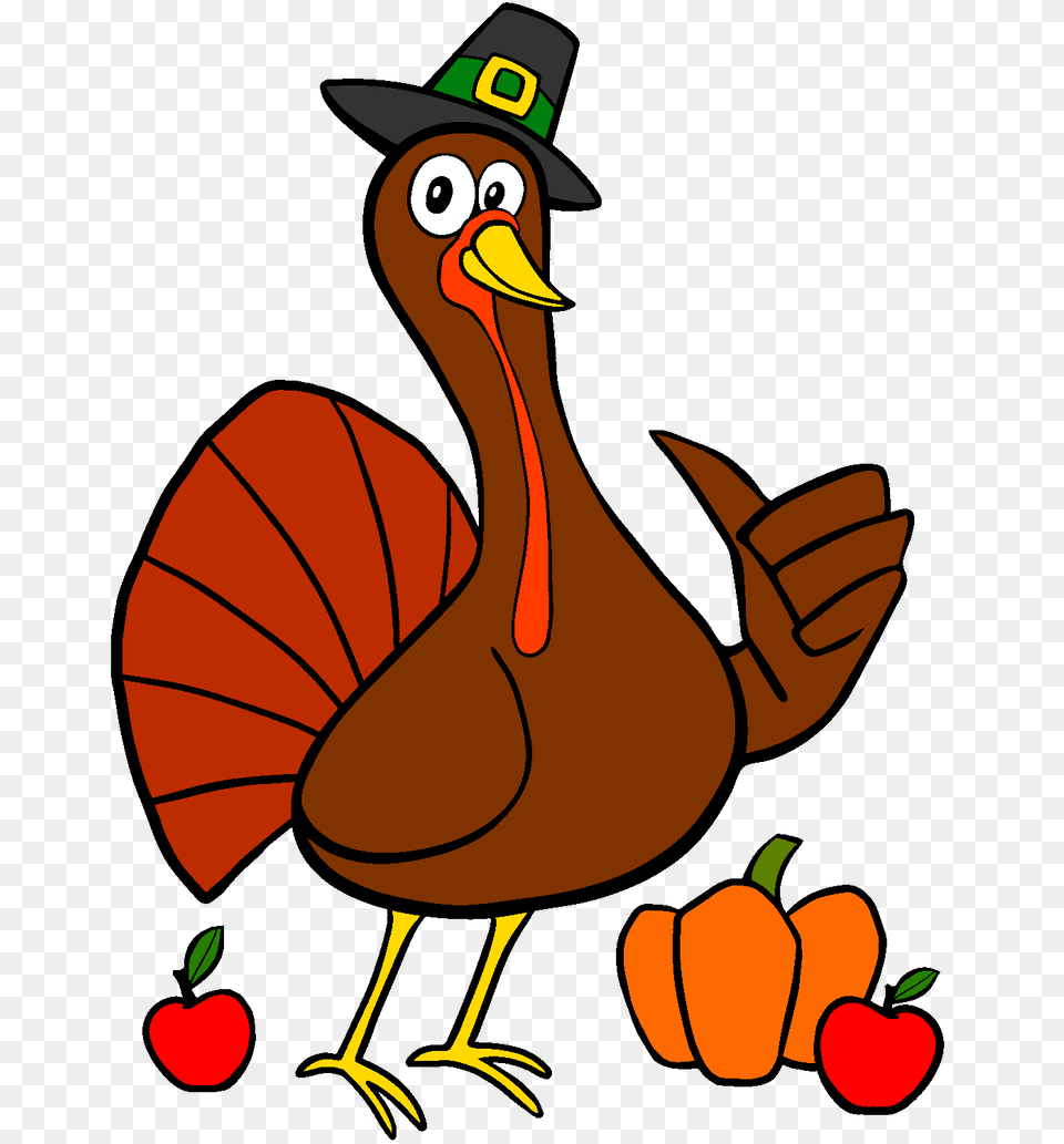 Thanksgiving Turkey, Animal, Beak, Bird Free Transparent Png