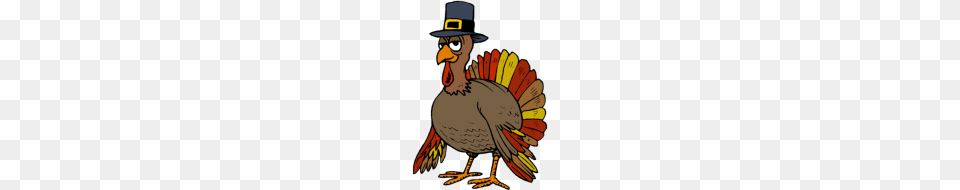Thanksgiving Turkey, Person, Animal, Bird, Beak Png Image