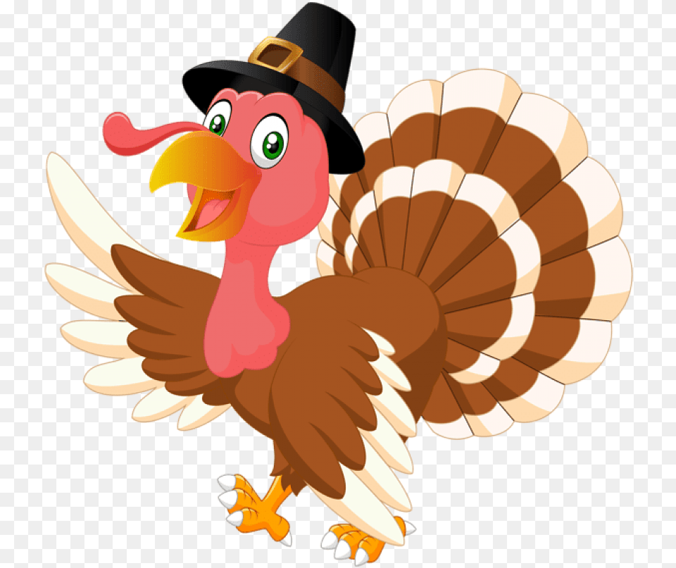 Thanksgiving Turkey, Animal, Bird, Fowl, Poultry Png