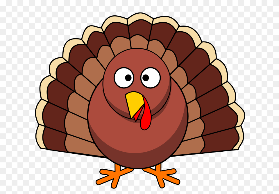 Thanksgiving Turkey, Animal, Beak, Bird, Dynamite Free Transparent Png