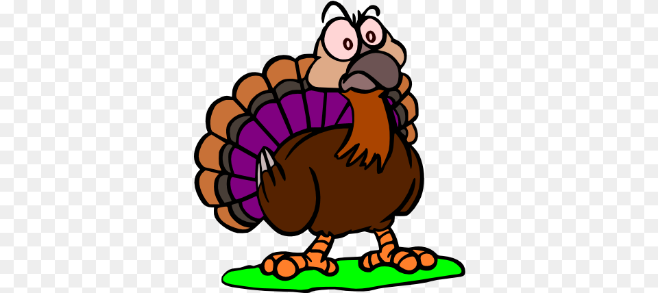 Thanksgiving Turkey Clip Art Angry Turkey Clip Coloring Pages For Kids, Animal, Bird, Baby, Face Png Image