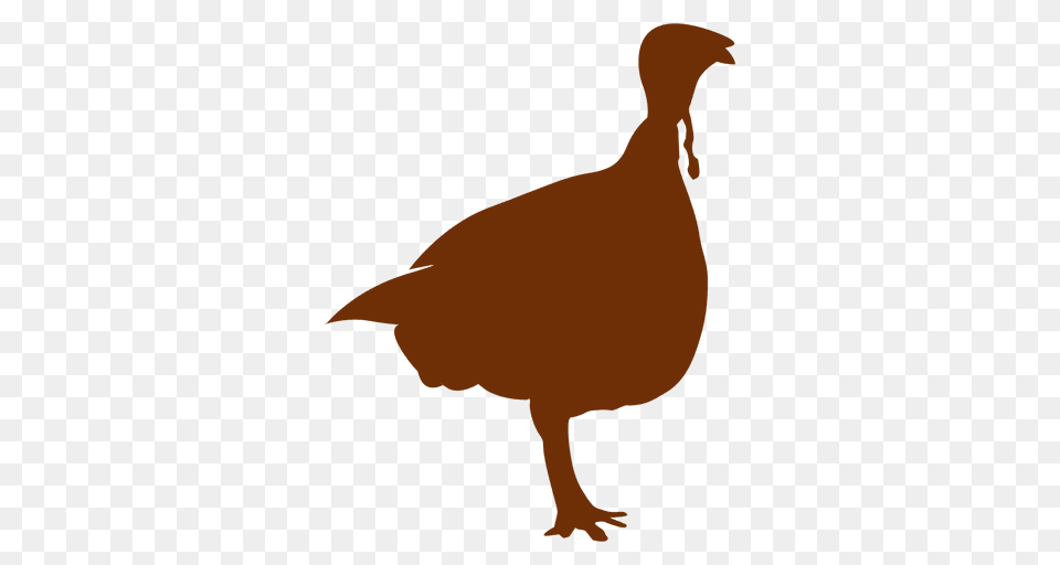 Thanksgiving Turkey Ilhouette, Animal, Bird Free Png Download