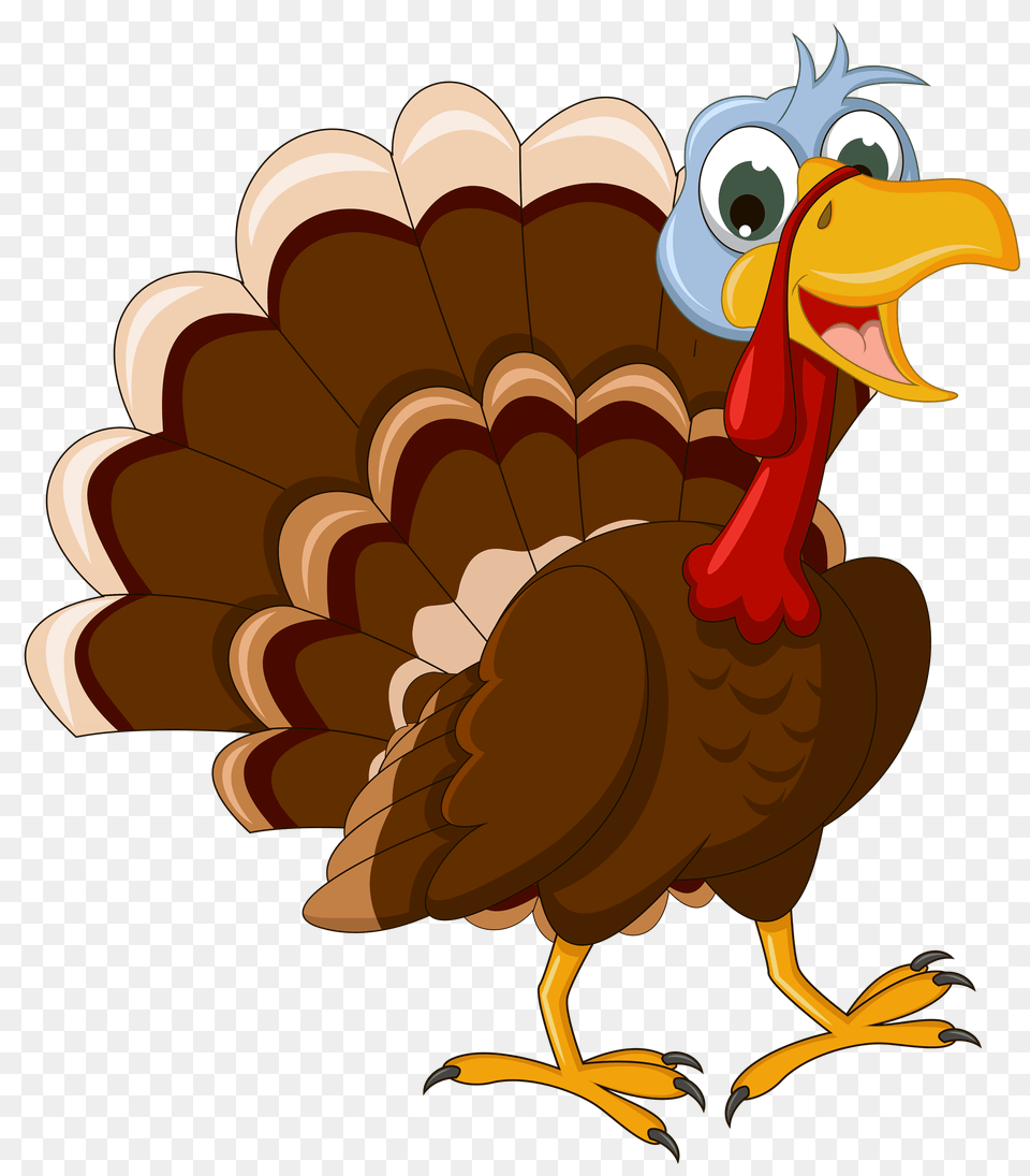 Thanksgiving Walking Turkey, Animal, Bird, Fowl, Poultry Free Png