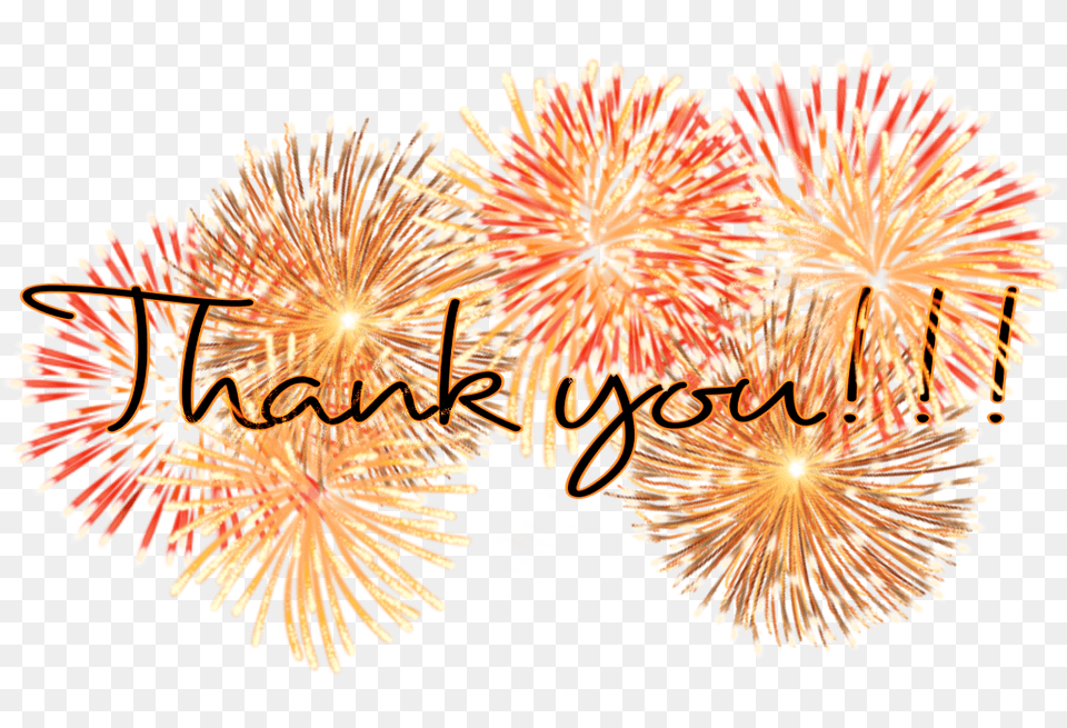 Thankyou Emotions Fireworks Happy Madewithpicsart New Years Thank You, Plant Png Image