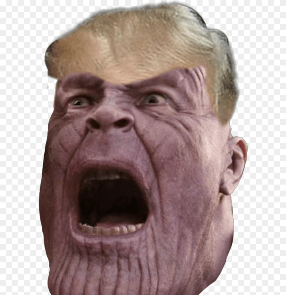 Thanos Donaldtrump Heheh Hahahahaha Thanos Has Been Shout, Adult, Angry, Face, Head Free Png
